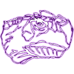 Aberrant Carbonemys