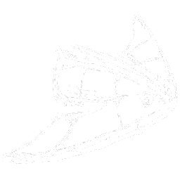 Diplocaulus