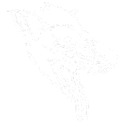 Hyaenodon