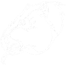 Megatherium