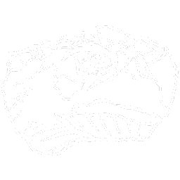 Carbonemys