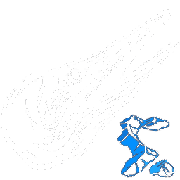 X-Ichthyosaurus