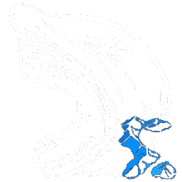 X-Megalodon