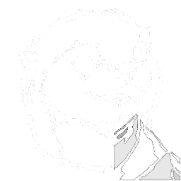 X-Otter