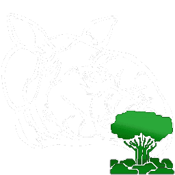 X-Paraceratherium