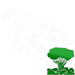 X-Spino