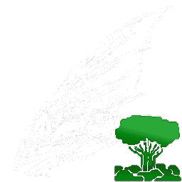 X-Tapejara
